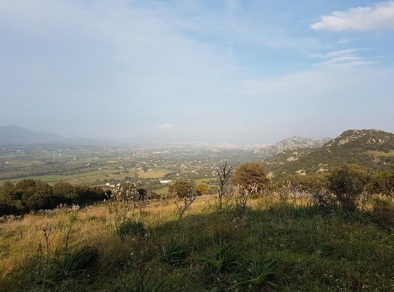 TERRENO AGRICOLO NELL'AGRO DEL COMUNE DI OLBIA